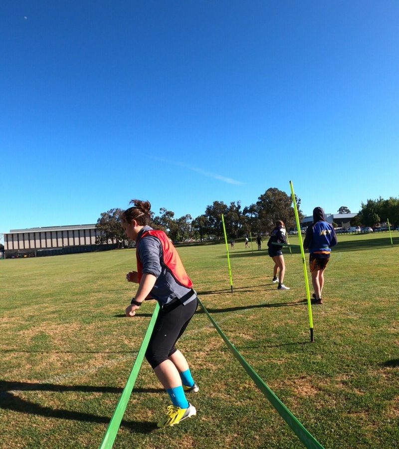 16cbdfc4-d449-48dc-8600-8c6293f6f308